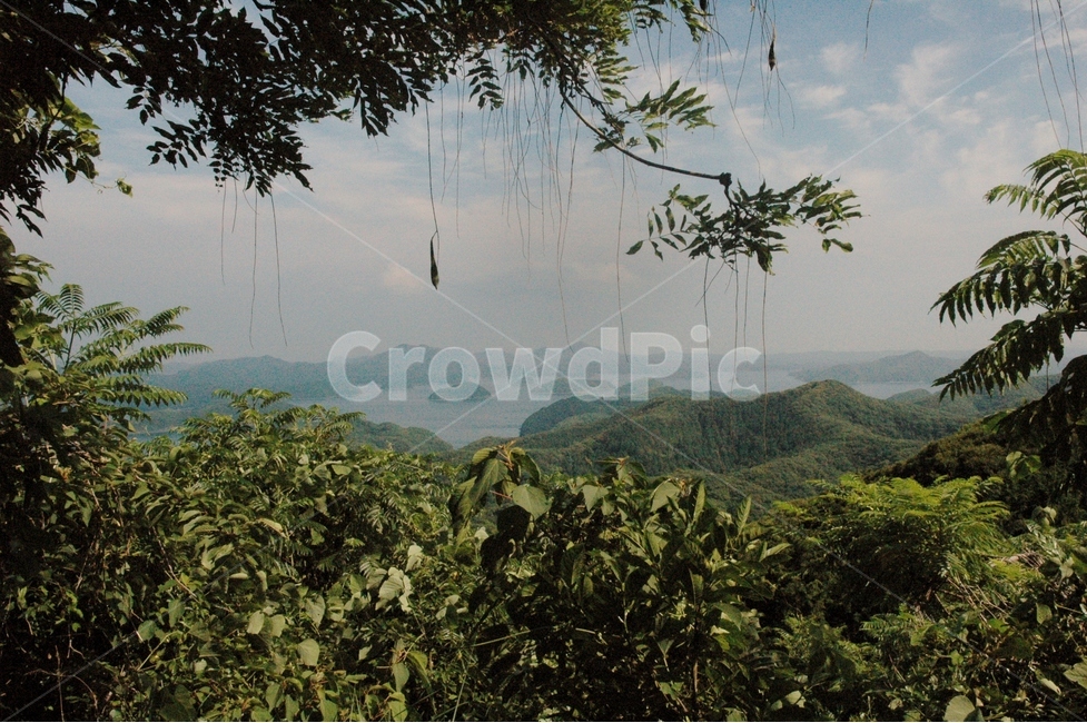 자연,노을,대마도,바다와섬,경치,자연,풍경,nature,landscape,한국자연풍경,한국자연경관,korea nature landscape,outdoors,옥외,plant,식물,vegetation,초목,land,땅