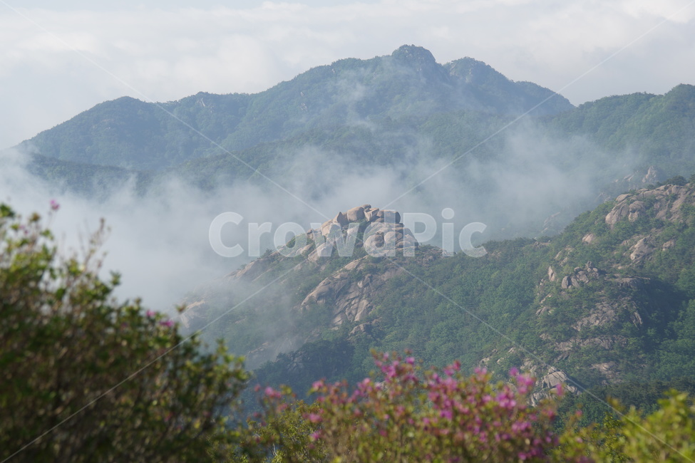 황매산,합천군,철쭉,풍경,산,자연,풍경,nature,landscape,한국자연풍경,한국자연경관,korea nature landscape,outdoors,옥외,mountain range,산맥,mountain,weather,날씨