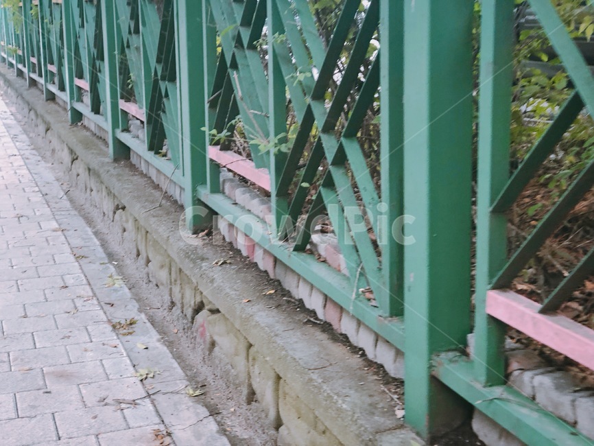 초록색,도로,길,무늬,일상생활,공원,green,낮,road,way,pattern,패턴,모양