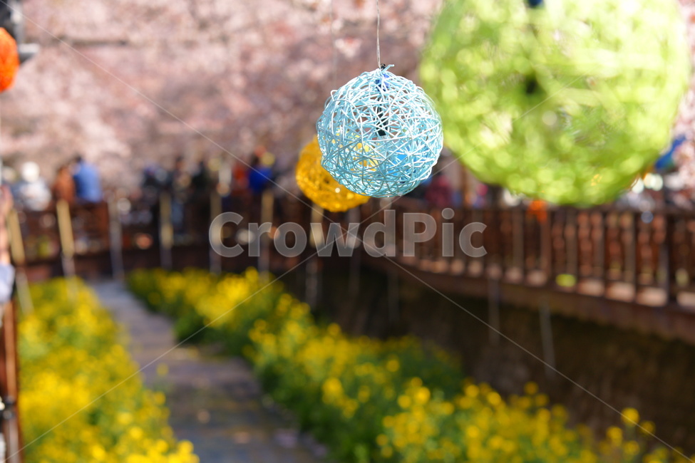 벗꽃,여좌천,진해,봄,축제,봄,계절,spring,season,sphere,구체