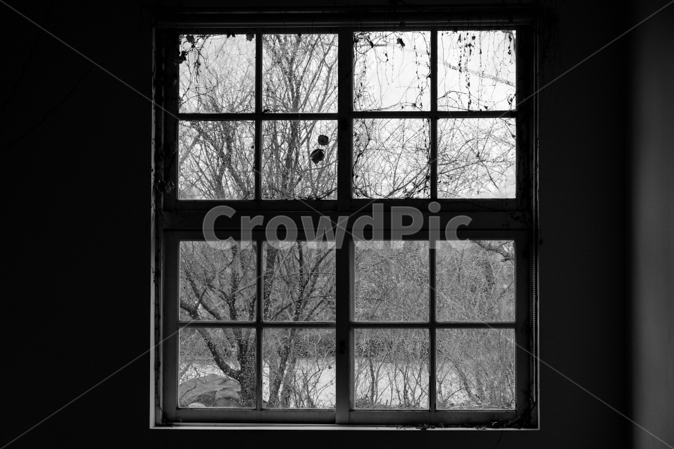 창문,겨울,나무,흑백,풍경,감성,흑백,모노톤,monochrome,black and white,인테리어,실내디자인,interior design