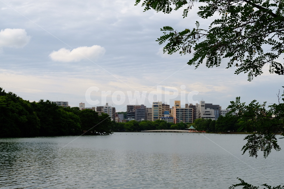 일본,후쿠오카,오호리공원,오호리코엔,호수,호수공원,공원호수,도시,풍경,city,landscape,water,물,nature,자연,outdoors,옥외