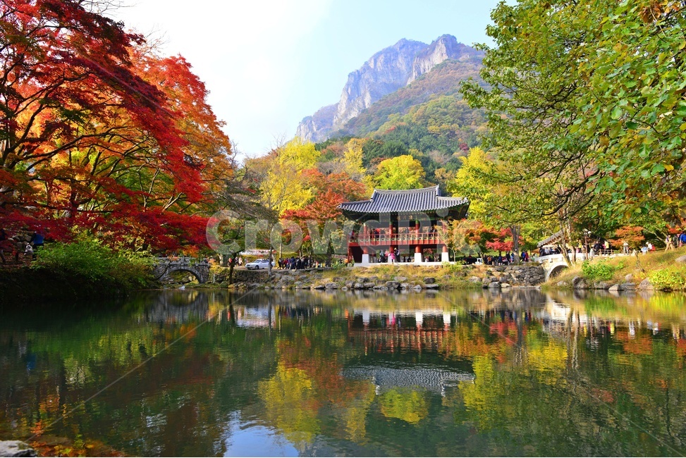 전남,장성,백양사,연못,반영,가을,쌍계루,백학봉,단픙,nature,자연,outdoors,옥외,water,물,다리,가을,계절,fall,autumn,season,자연,풍경,nature,landscape