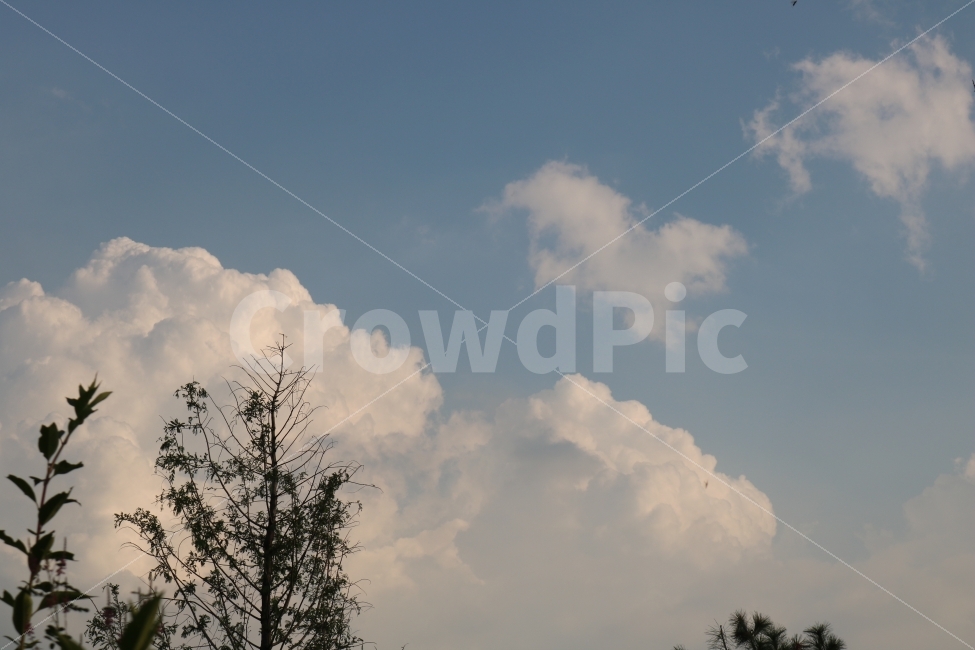 풍경,구름,sky,힐링,감성,자연,풍경,nature,landscape,weather,날씨,outdoors,옥외,하늘,cloud,cumulus,적운