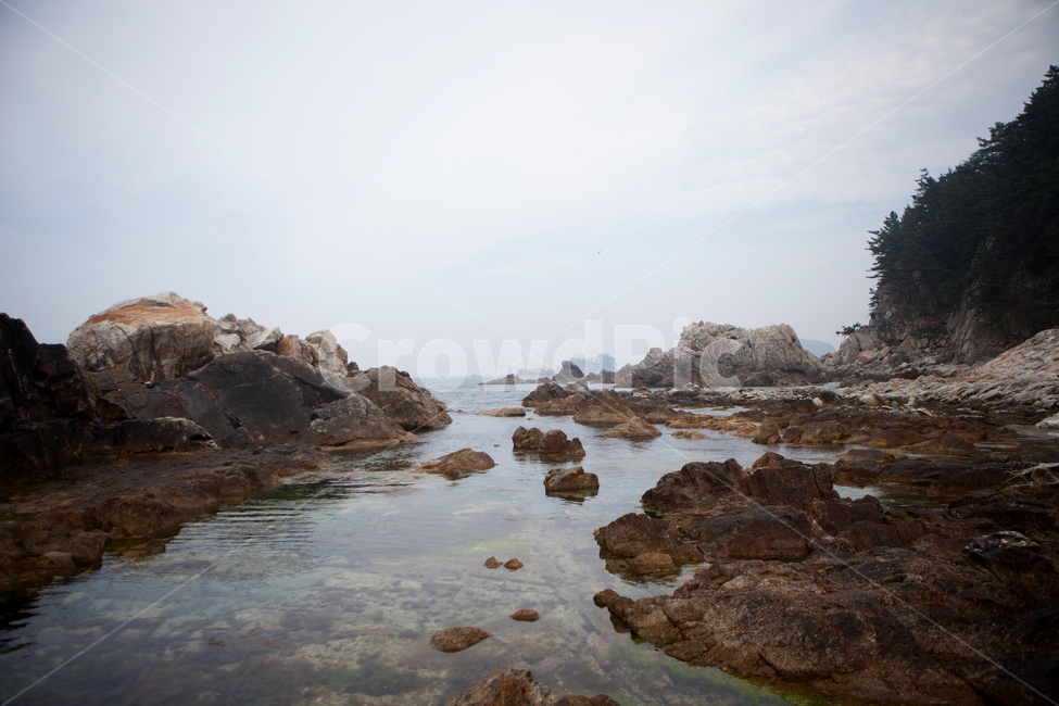sea,wave,ocean,horizon,nature,바다,암초,파도,수평선,rock,바위,돌,동해,삼척,장호항,자연,풍경,nature,landscape