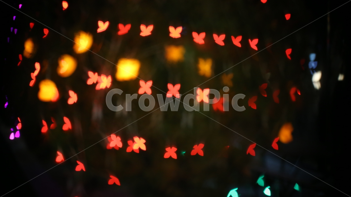 조명불빛,light,보케,bokeh,조명,꼬마전구