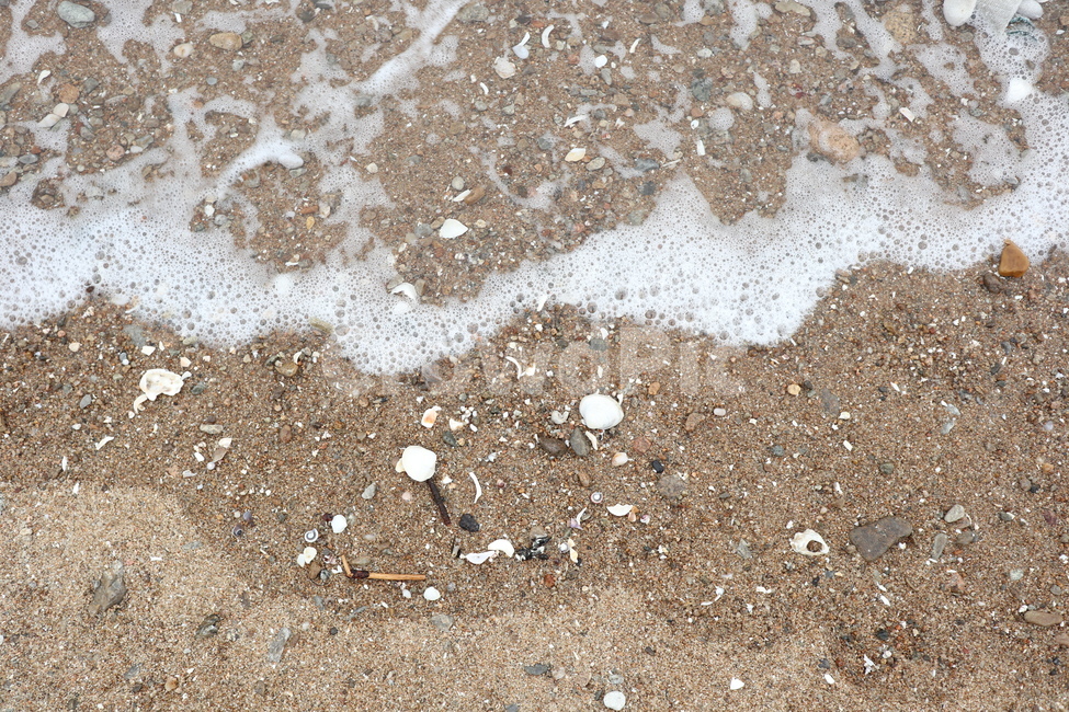 바다,해변,파도,모래,조개,해변,바다,beach,sea