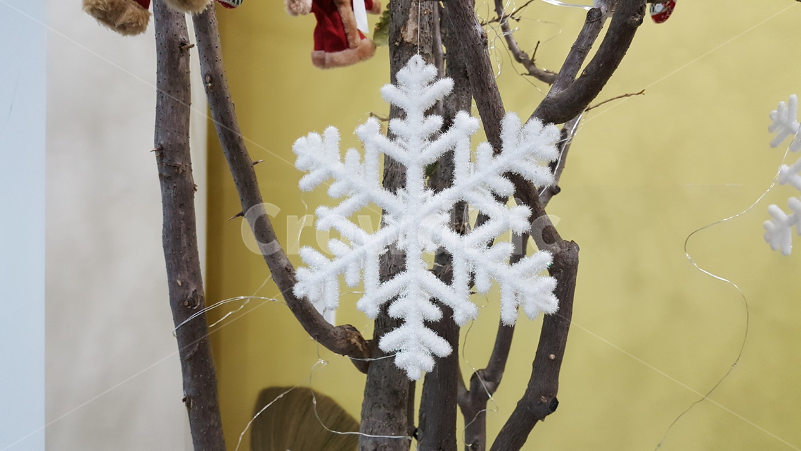 크리스마스,트리,크리스마스장식,크리스마스트리,장식,겨울,계절,winter,season,기념일,축하,anniversary,congratulation,celebrate,celebration,메리크리스마스,성탄절,merry christmas