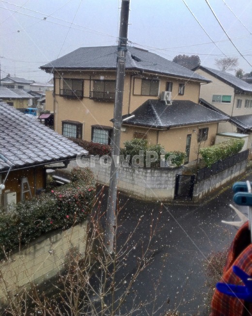 일본주택,주택,일본집,빨래,겨울,눈,지붕,roof,전봇대,마당,시골,일본