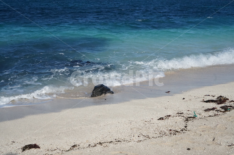 파도,바다,물거품,포말,물결,sea,바닷가,해안가,해변,beach
