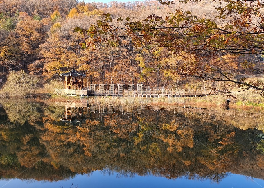 nature,자연,water,물,풍경,가을,호수,마장호수