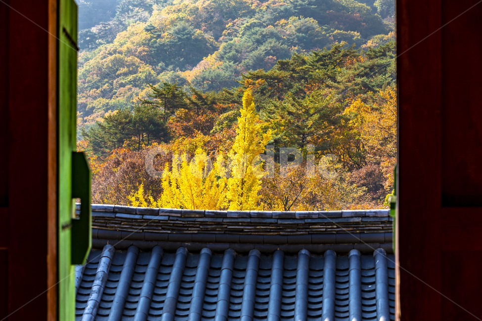 청평사,단청,기와,기와지붕,가을,단풍,전통가옥,전통건축물,건축물,전통대문,지붕,roof,가을,계절,fall,autumn,season,한국전통,한국문화,korean traditional,korean culture,건축물,건물외관,exterior,building,structure,architecture,construction
