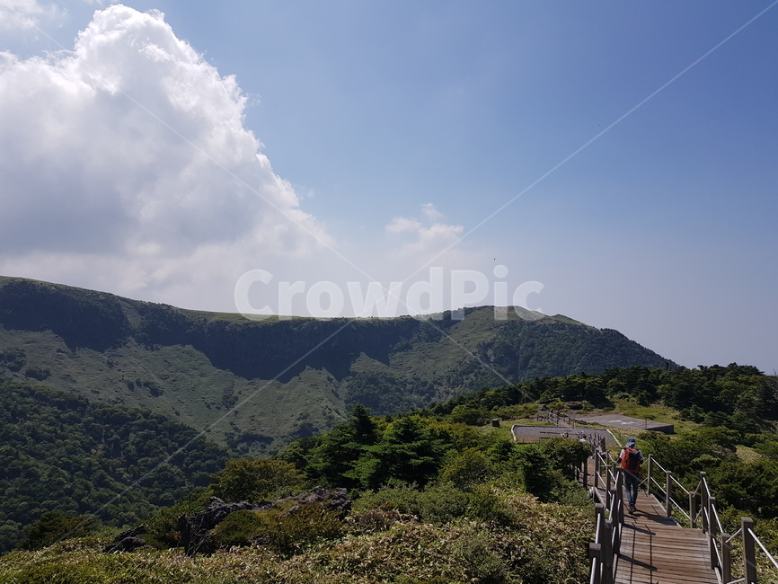 배경화면,자연풍경,경치,한라산,자연배경,등산,나무,산,등산길,제주도,한라산등산,여름,가을,하늘,자연,배경,풍경,멋진경치,nature,언덕,hill,옥외