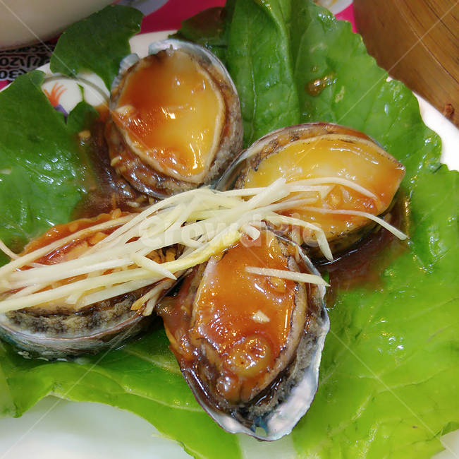 전복,조개,해양생물,요리,맛있다