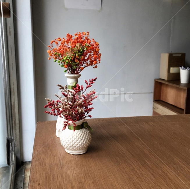 카페,꽃,드라이플라워,화분,따뜻함