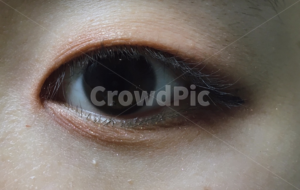 눈,화장,피부,얼굴,섀도우,skin,makeup,eye,메이크업,신체일부,몸,body,뷰티,미용,beauty treatment