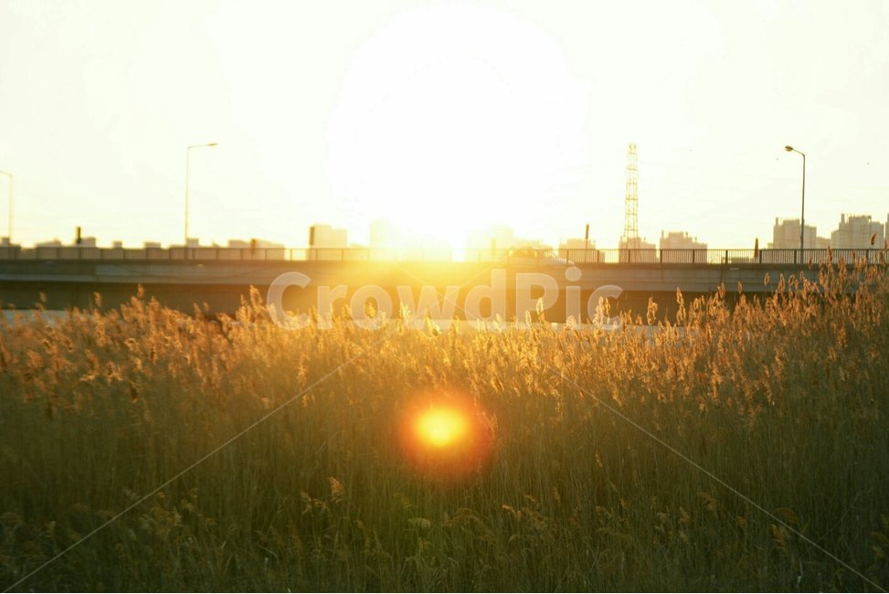 노을,일몰,반영,해,sunset,풍경,landscape,자연,nature,붉은노을,가을,감성,감정,sensible,feeling,emotion,색깔,색상,색채,색감,color,sense,sensitivity,feelingofcolor,붉다,해질녘,가을감성,일몰사진,도시,풍경,city,landscape,한국도시풍경,한국도시경관,korea cityscape,휴식,힐링,rest,relaxation,healing,flare,플레어,light,빛