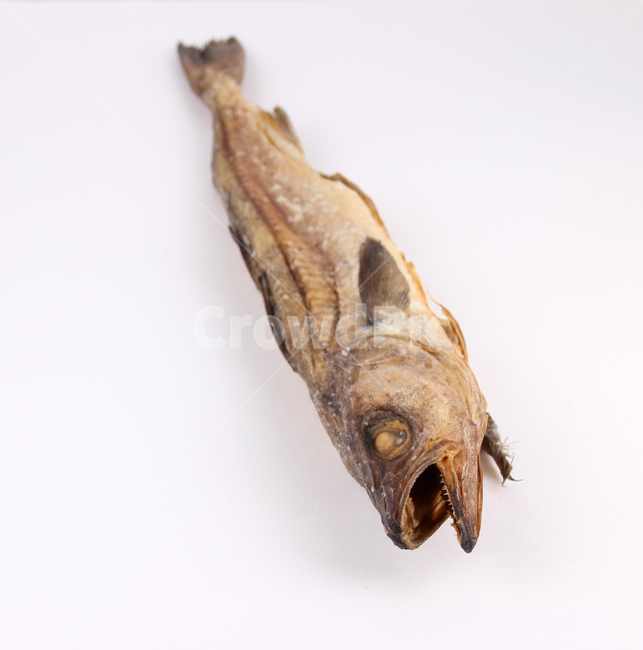 fish,물고기,황태,북어,driedpollack,개업집,음식,식재료,요리,food,cook,meal,dishes,food reserves