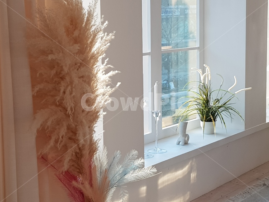 interiordesign,인테리어디자인,indoors,옥내,햇빛,식물,장식,창문,로맨틱한,romantic