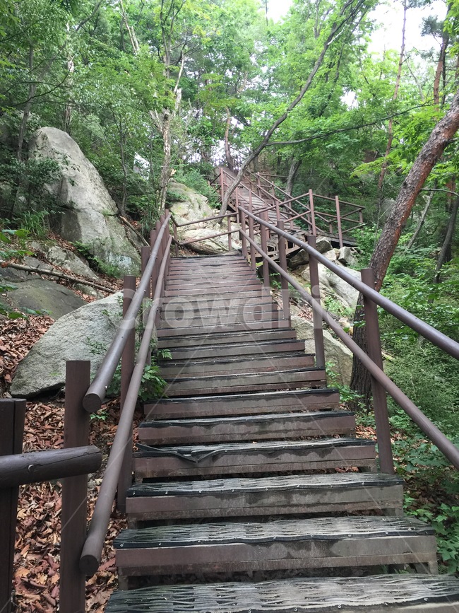 북한산,등산로,자연,정상,여름,등산,자연,풍경,nature,landscape,staircase,계단,arbour,정자,garden,정원,outdoors,옥외