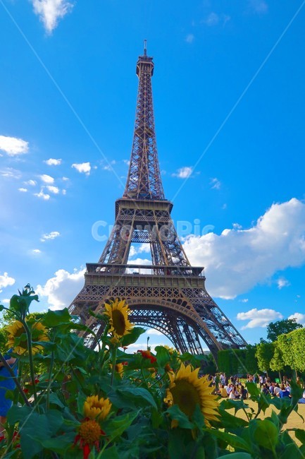 프랑스,파리,건축물,탑,에펠,에펠탑,꽃,해바라기,하늘,구름,france,paris,architecture,tower,eiffel,eiffeltower,flower,sunflower,cloud,sky,outdoors,옥외,세계랜드마크,해외랜드마크,외국랜드마크,world landmark,world tourist attraction,building,건물,steeple,뾰족한 탑,spire,첨탑
