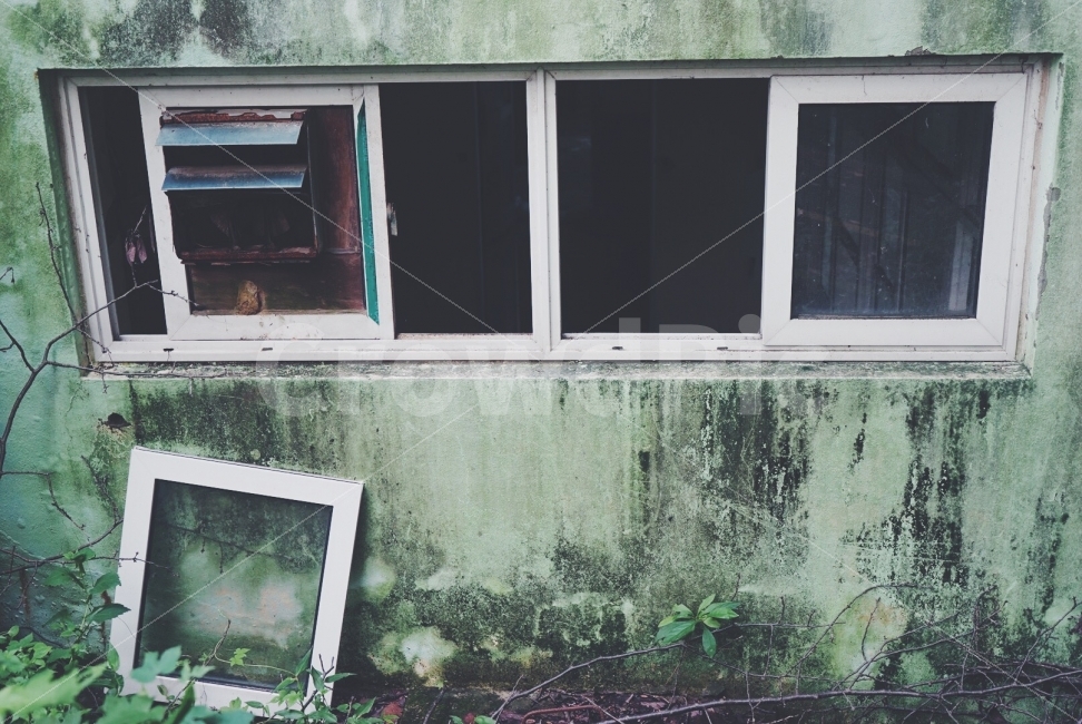 감성사진,감성,필름카메라,필름,배경,건축물,건물외관,exterior,building,structure,architecture,construction,감성,sensible,feeling