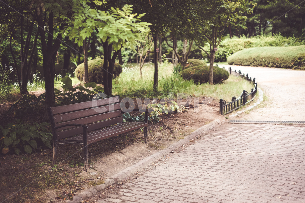 길,의자,여름,나무,나무잎,수목원,자연,풍경,nature,landscape,bench,벤치,path,통로,walkway,보도