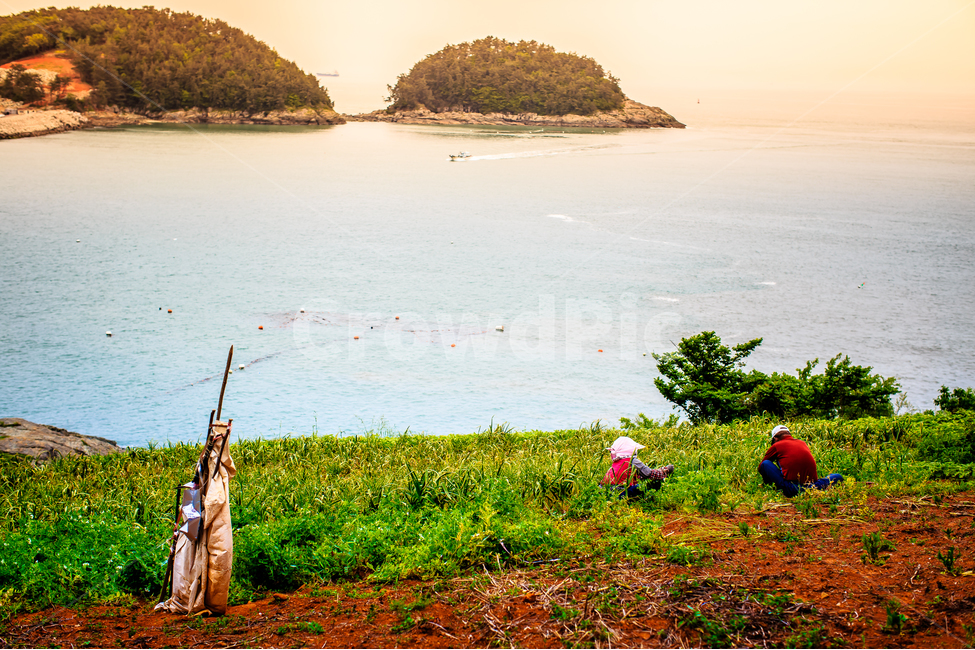 초여름,밭,농부,바다,여유,시골,섬,자연,풍경,nature,landscape,한국자연풍경,한국자연경관,korea nature landscape,시골,마을,country,rural,town,사람들,대중,군중,other people,crowd,산업,industry,industrial,농업,농사,agriculture,farming,farming industry,outdoors,옥외,land,땅