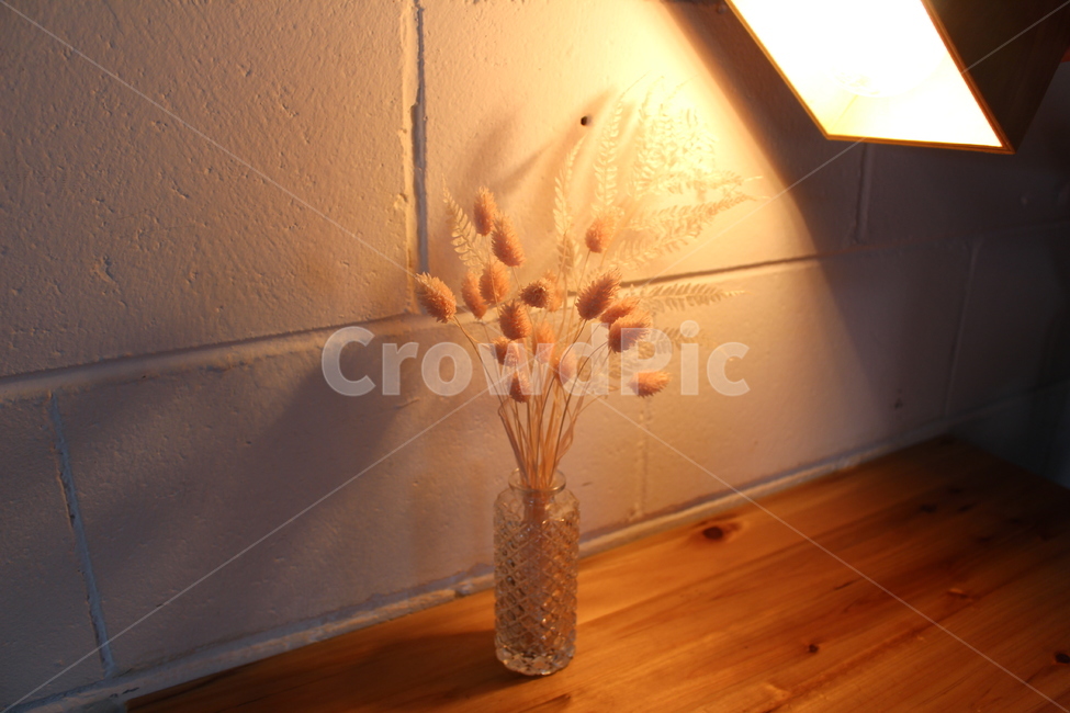 꽃,말린꽃,꽃병,조명,그윽,실내용화초,화분,화초,house plant
