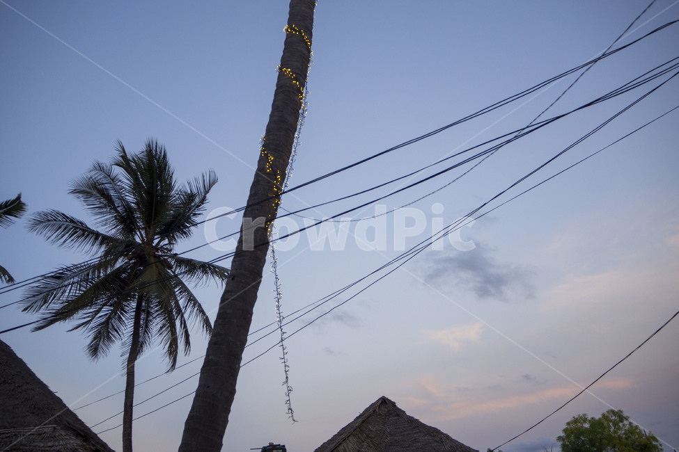 탄자니아,tanzania,아프리카,africa,잔지바르섬,잔지바르,zanzibar,하늘,sky,구름,cloud,해질녘,야자수,잠비아니,자연,풍경,nature,landscape,야경,밤,nightscape,night
