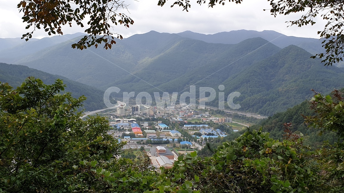 강원도,정선군,민둥산,등산,풍경,nature,자연,landscape,outdoors