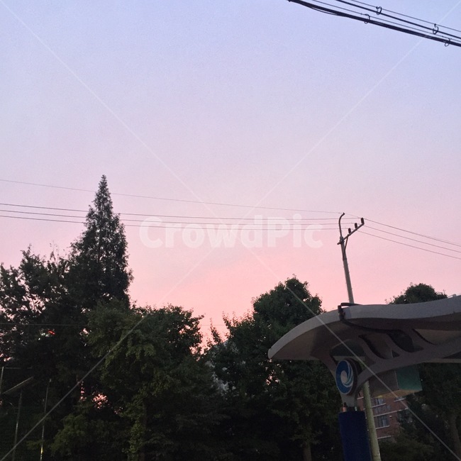 하늘,노을,핑크하늘,핑크빛,버스정류장,나무,sky