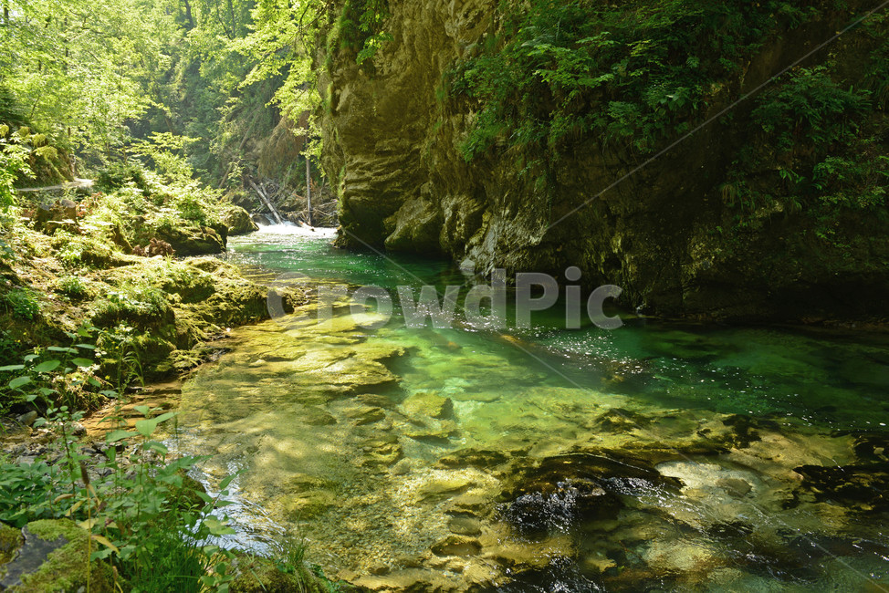 물,계곡,산,여름,자연,자연,풍경,nature,landscape,water,stream,흐름,creek,작은 만,outdoors,옥외
