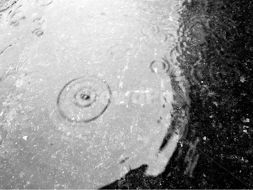 빗방울,물,빗물,패턴,배경,날씨,감정,비오는날,rain,raindrops,background,weather,pattern,비,비오는날,rain,rainy