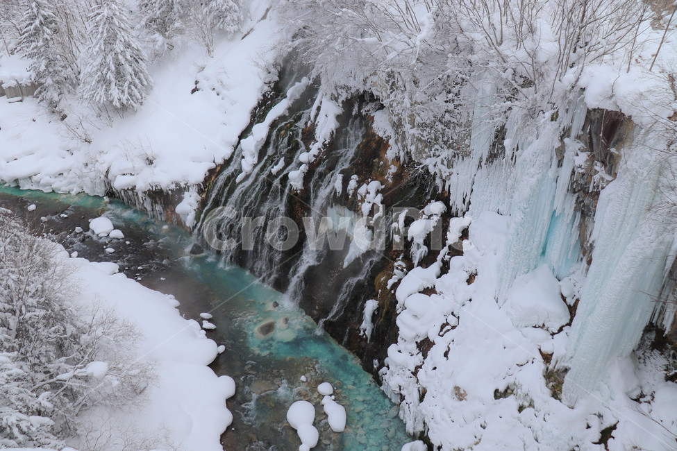 겨울,눈,폭포,흰수염폭포,물,나무,자연,풍경,winter,snow,falls,tree,japan,hokkaido,일본,훗카이도,nature,겨울,계절,winter,season,자연,풍경,nature,landscape,해외,외국,세계,foreign,oversea,world,세계자연풍경,해외자연풍경,외국자연풍경,world nature landscape,outdoors,옥외,ice,빙,mountain,산