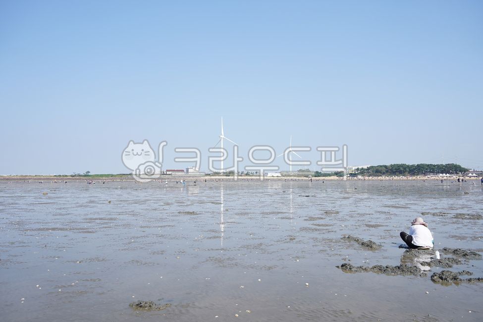 Daebudo,Bangamari Beach,beach,seaside,mudflat,sea,sea,shellfishing,windmill,wind turbine