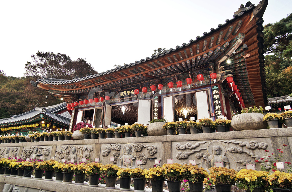 청계사,사찰,불교사찰,의왕시,극락보전,아미타불,한국전통,한국문화,korean traditional,korean culture,종교,신앙,religion,belief,faith