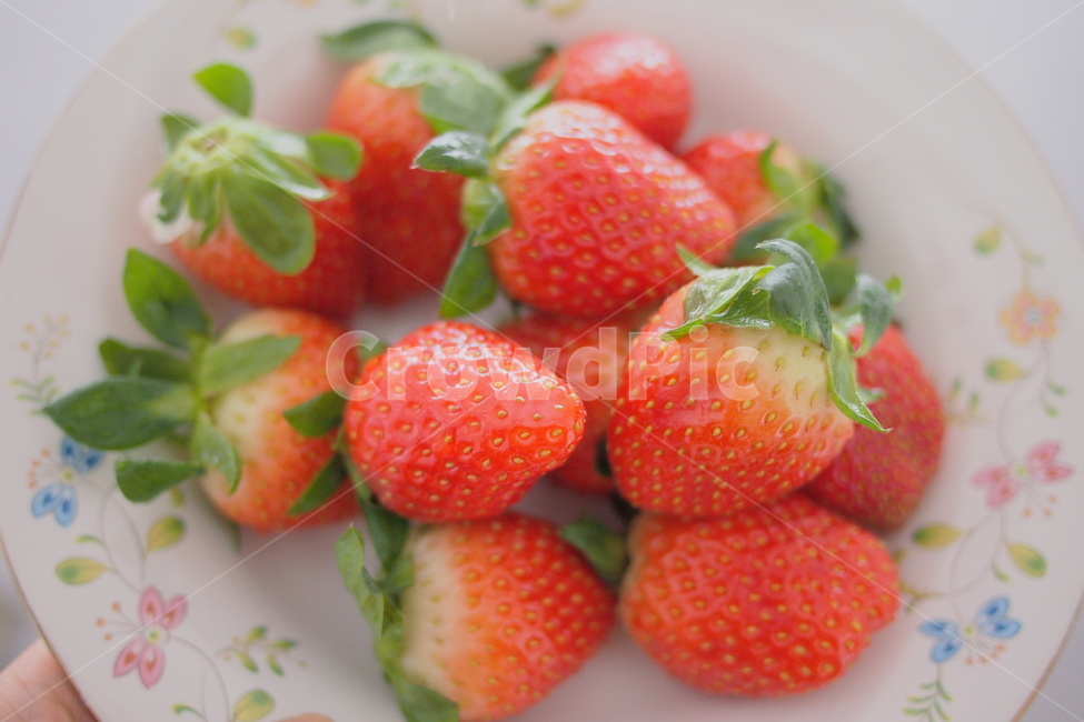 딸기,음식,과일,fruit,food,strawberry,음식,식재료,요리,food,cook,meal,dishes,food reserves,과일,열매,fruit