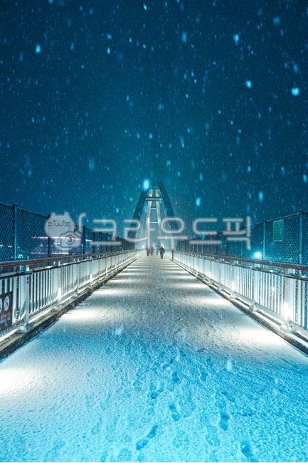 snowflake,snow,white christmas,christmas,snowy day