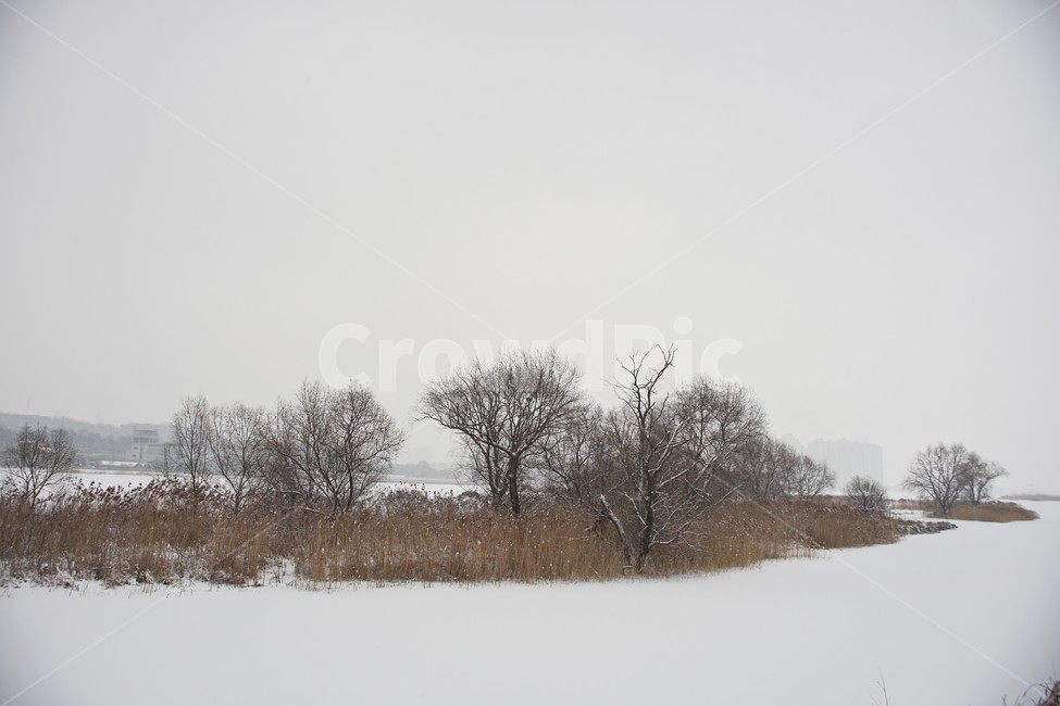 겨울,눈,흰눈,호수,섬,자연,풍경,얼음,얼음판,빙판,겨울,계절,winter,season,자연,풍경,nature,landscape,outdoors,옥외,storm,폭풍,snow,blizzard,눈보라,weather,날씨