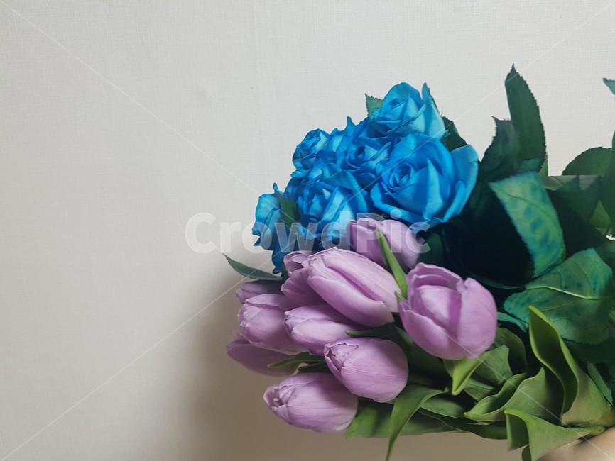 flower,꽃,꽃부케,flowerbouquet,flowerarrangement,꽃꽂이,장미,튤립,보라색,파란색,식물,자연,plants,nature,꽃,flower