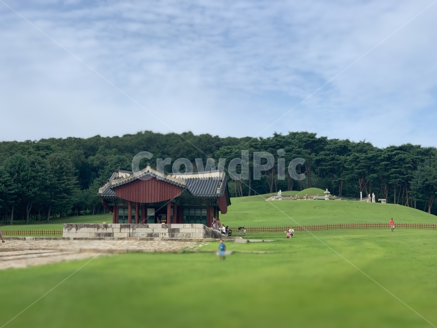 문화재,한국적,능,언덕,동양적