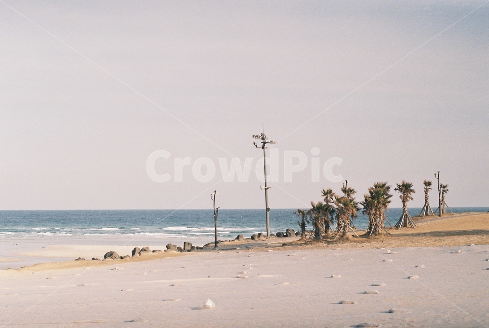 바다,필름,풍경,감성,film,자연,풍경,nature,landscape,해변,바다,beach,sea