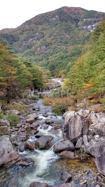 계곡,산,풍경,돌,나무,자연,풍경,nature,landscape,한국자연풍경,한국자연경관,korea nature landscape,outdoors,옥외,water,물