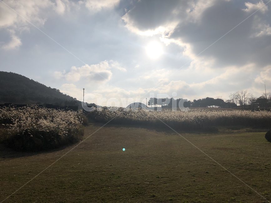 제주도,하늘,빛,구름,옥외