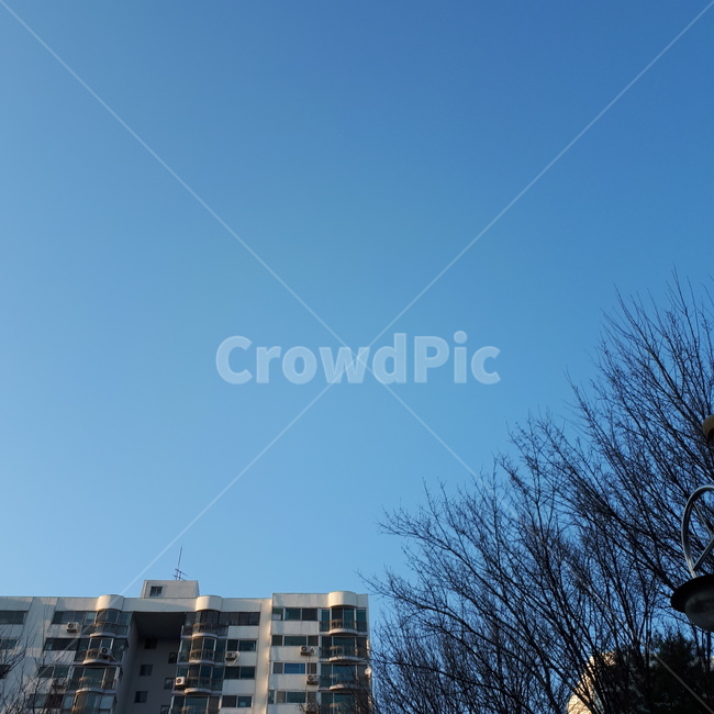 풍경,하늘,낮,나무,아침,건축물,건물외관,exterior,building,structure,architecture,construction