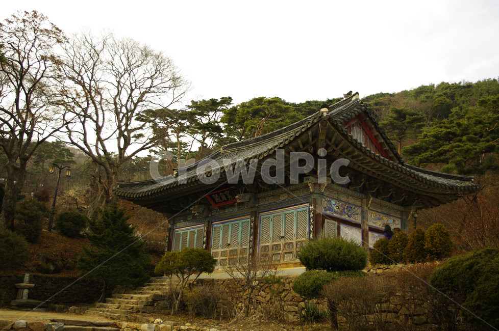 사찰,한국,대웅전,겨울,절,한국전통,한국문화,korean traditional,korean culture,건축물,건물외관,exterior,building,structure,architecture,construction