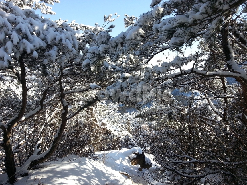 눈꽃,눈,설경,겨울산,등산로,ice,얼음,자연,겨울,계절,winter,season,자연,풍경,nature,landscape