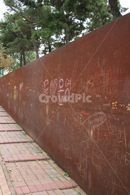 식물,plant,낙서,나무,벽,자연,풍경,nature,landscape,path,통로,wall,walkway,보도