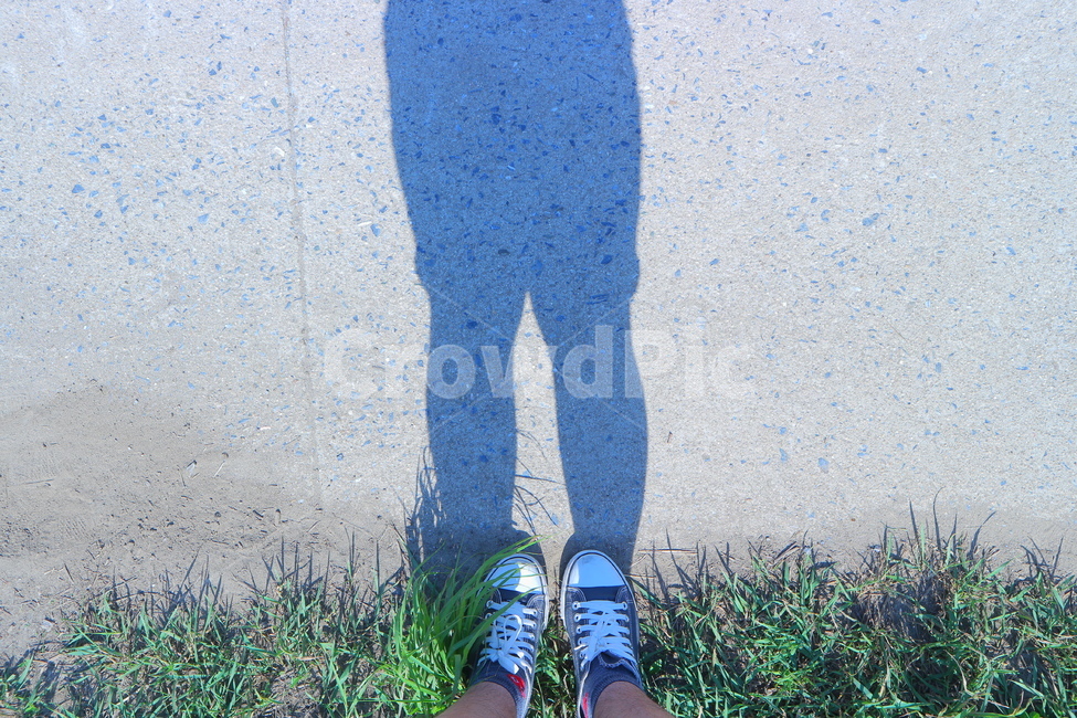 컨버스,그림자,신발류,잔디,shoe,converse,shadow